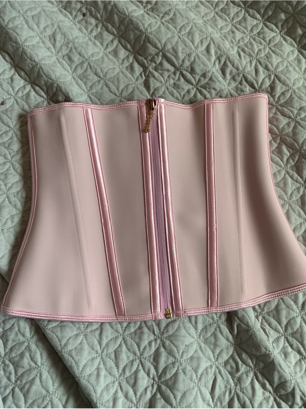 Pink Women’s Waist Trainer Zipper Corset